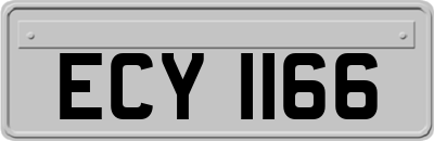ECY1166