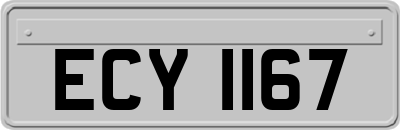 ECY1167