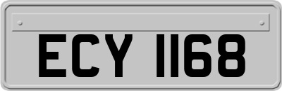 ECY1168