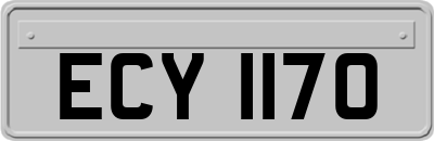 ECY1170