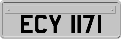 ECY1171