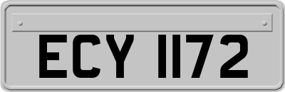 ECY1172