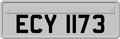 ECY1173