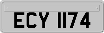 ECY1174