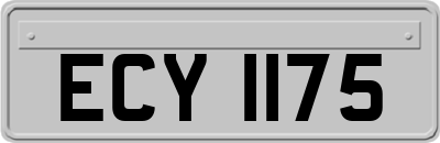 ECY1175