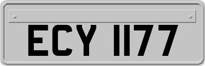 ECY1177