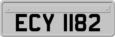 ECY1182