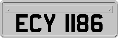 ECY1186