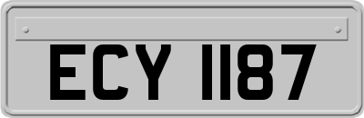 ECY1187