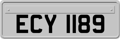 ECY1189