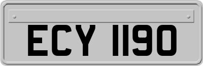 ECY1190