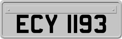 ECY1193