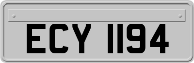ECY1194