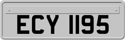 ECY1195