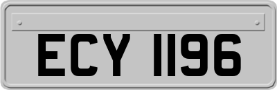 ECY1196