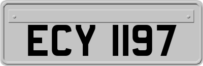 ECY1197