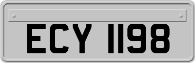 ECY1198
