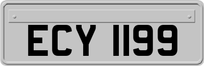 ECY1199