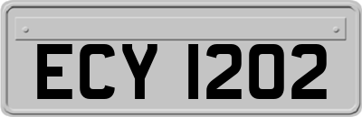ECY1202