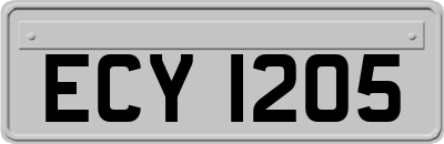 ECY1205