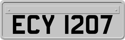 ECY1207