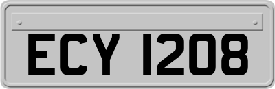 ECY1208
