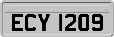 ECY1209