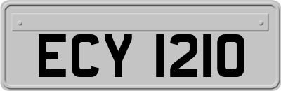 ECY1210