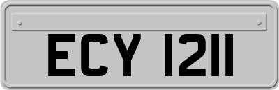 ECY1211