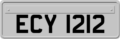 ECY1212