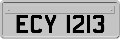 ECY1213