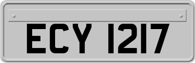ECY1217