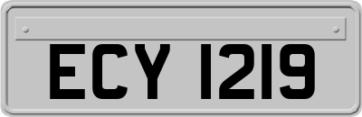 ECY1219
