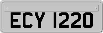 ECY1220