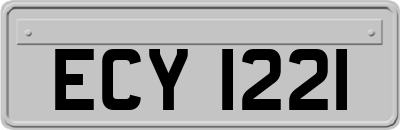 ECY1221