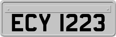 ECY1223