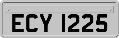 ECY1225