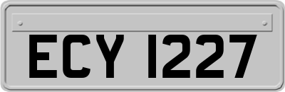 ECY1227