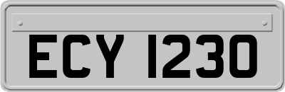 ECY1230