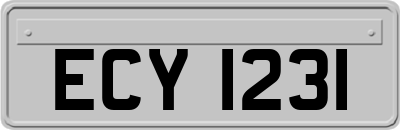 ECY1231
