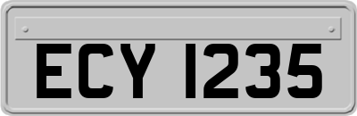 ECY1235