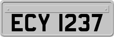 ECY1237
