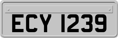 ECY1239