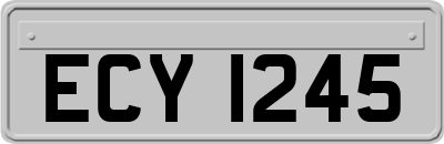 ECY1245