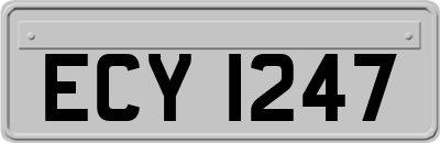 ECY1247