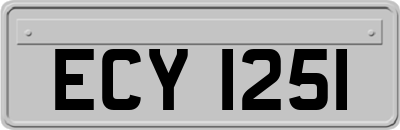ECY1251