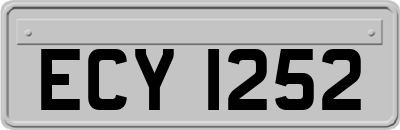 ECY1252