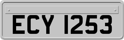 ECY1253