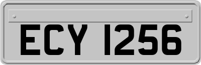 ECY1256