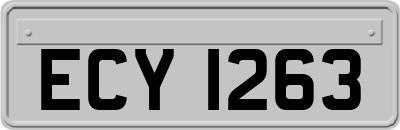 ECY1263